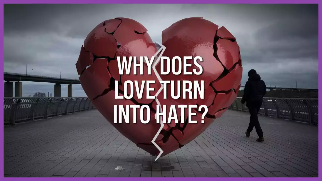 Why Does Love Turn Into Hate